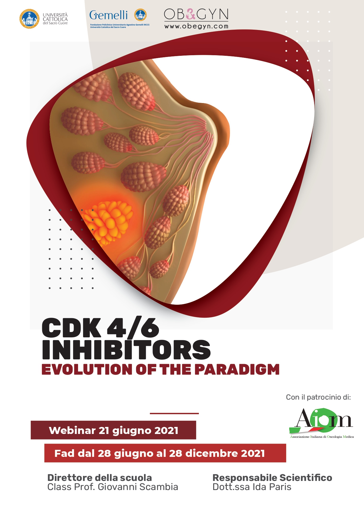 Programma WEBINAR sincrono accreditato - CDK 4/6 Inhibitors - evolution of the paradigm